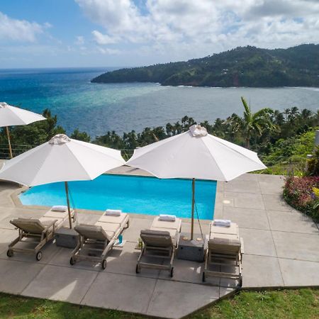 Pagua Bay House - Oceanfront Cabana'S Marigot Kültér fotó