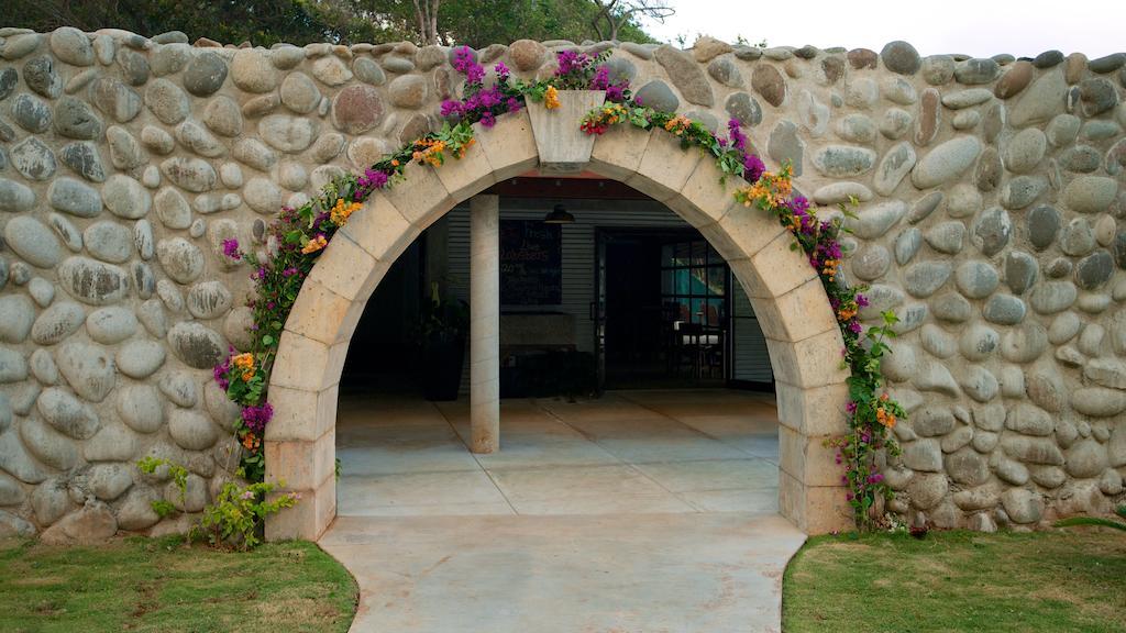 Pagua Bay House - Oceanfront Cabana'S Marigot Kültér fotó