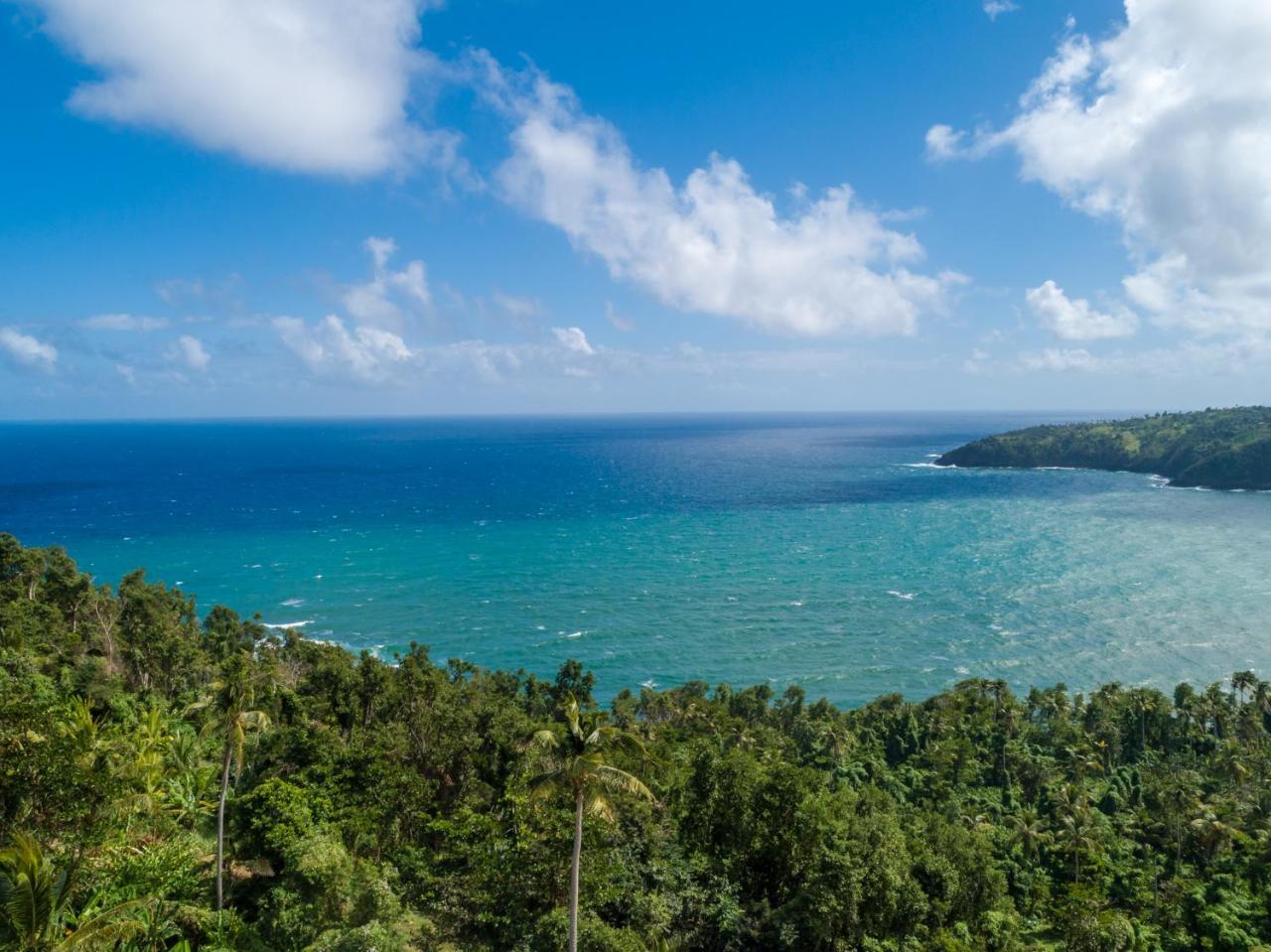 Pagua Bay House - Oceanfront Cabana'S Marigot Kültér fotó